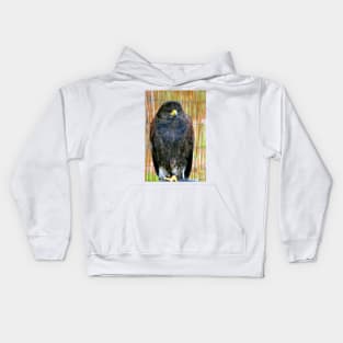 Harris Hawk Bird Of Prey Kids Hoodie